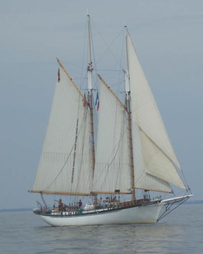 Appledore IV.jpg