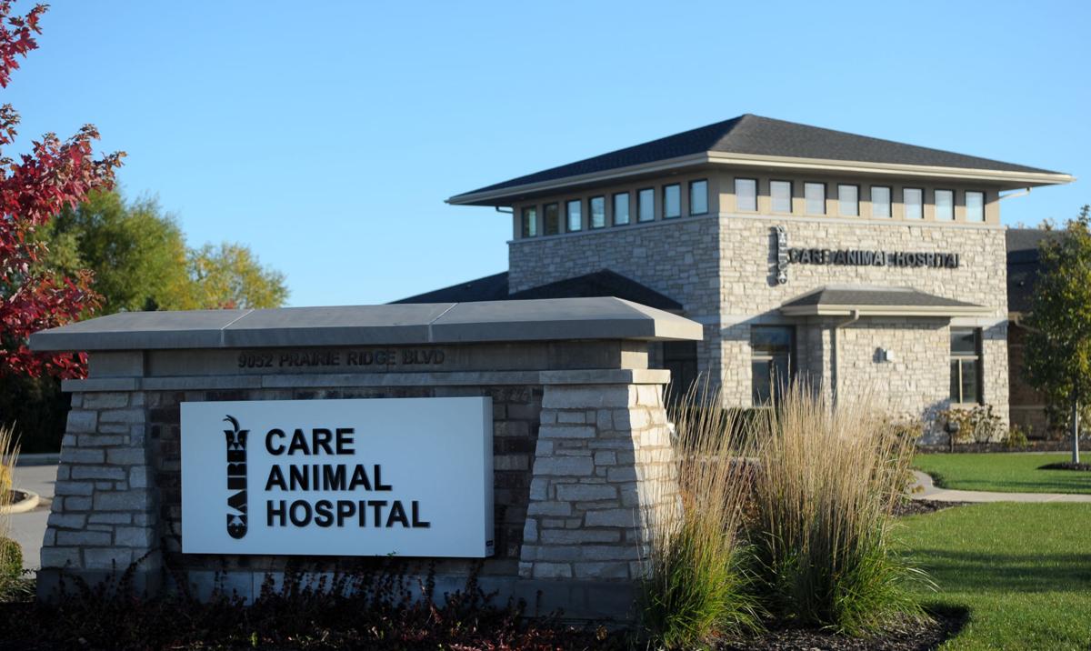 Best of Pet Care Veterinary Clinic Business Best of Pet Care Veterinary Clinic Business
