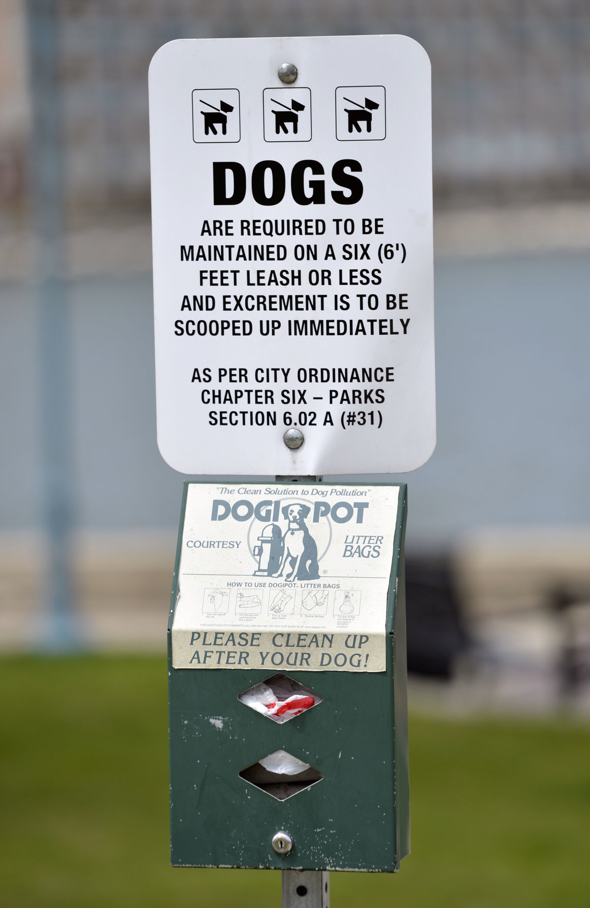 FIX IT UNLEASHED DOGS CITY TRAIL