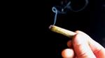 317,793 people arrested for pot possession in 2020 despite growing legalization movement