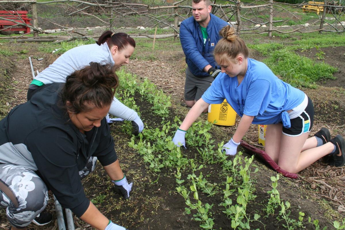 Volunteers help senior center garden take root