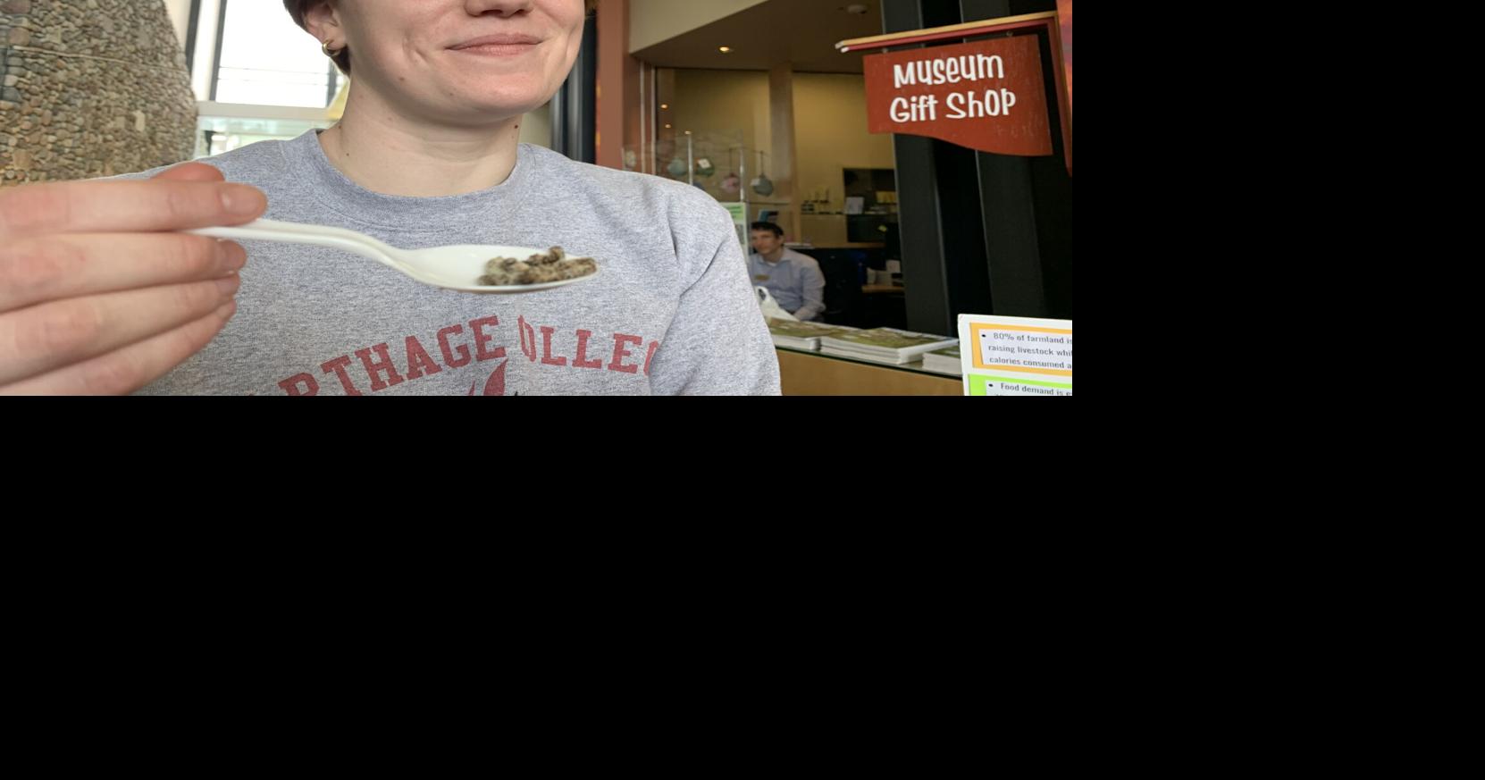 JETZT ANSEHEN: Kenosha Public Museum Eco-Science Fair lehrt Kinder über Nachhaltigkeit .. und das Essen von Käfern |  Lokalnachrichten