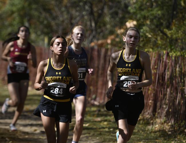 High school cross country Strichartz leads Indian Trail boys at WIAA