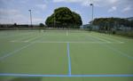 TENNIS AND PICKLE BALLS