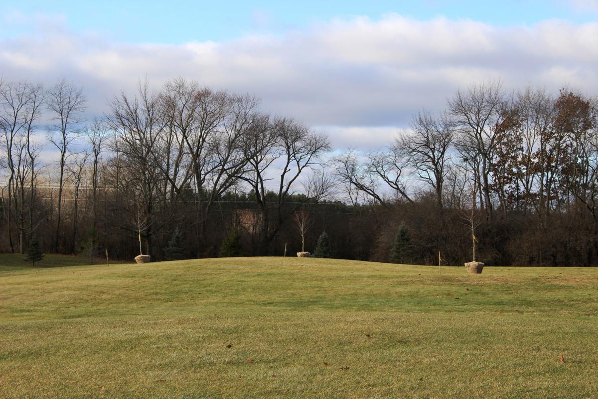 Reforestation Project Planned For Fox River Park Local News Kenoshanews Com