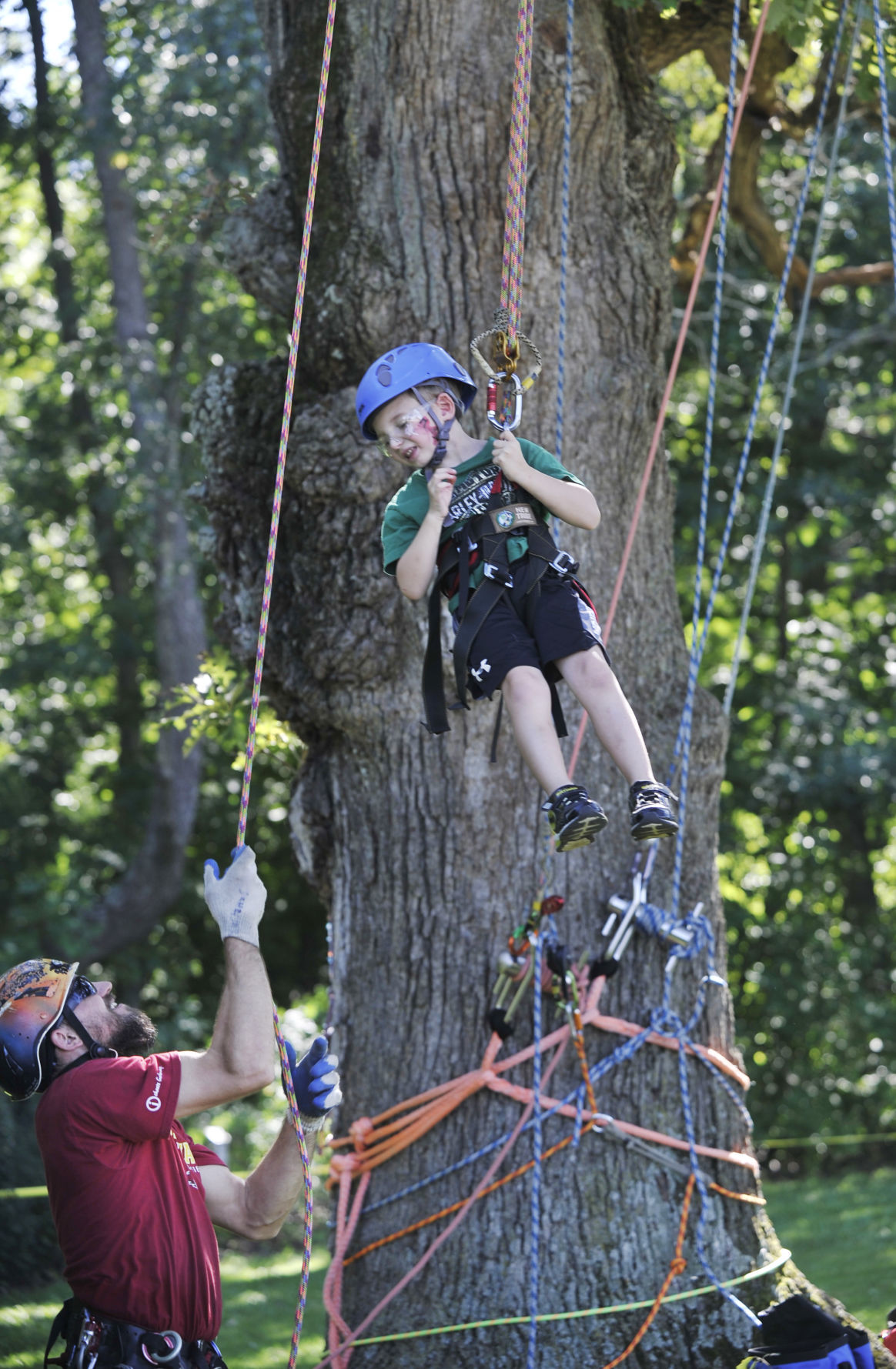 On The Job Aaron Schauer Arboriculture Forestry