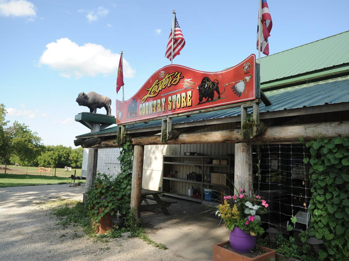 Kenosha County is home on the range for bison farms Local News