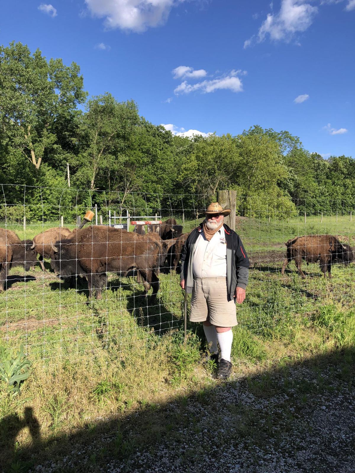 Kenosha County is home on the range for bison farms Local News