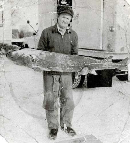 Roads Traveled: Sturgeon forever: Ancient fish still thrive in