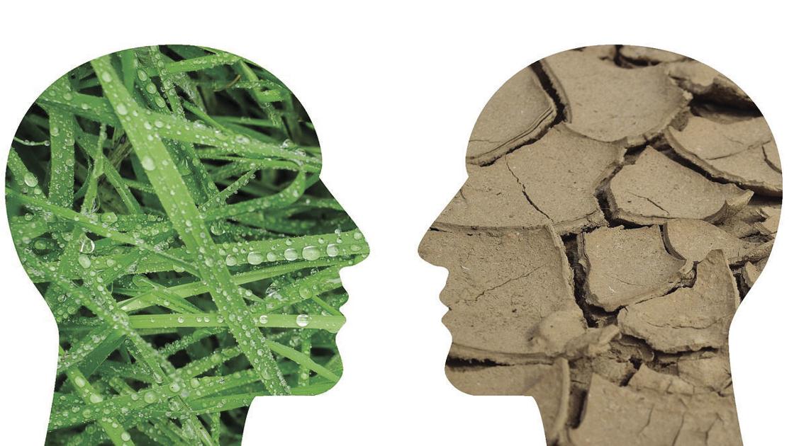 Gratuit Images Collection Home Garden Tips From The Summer Home And Garden