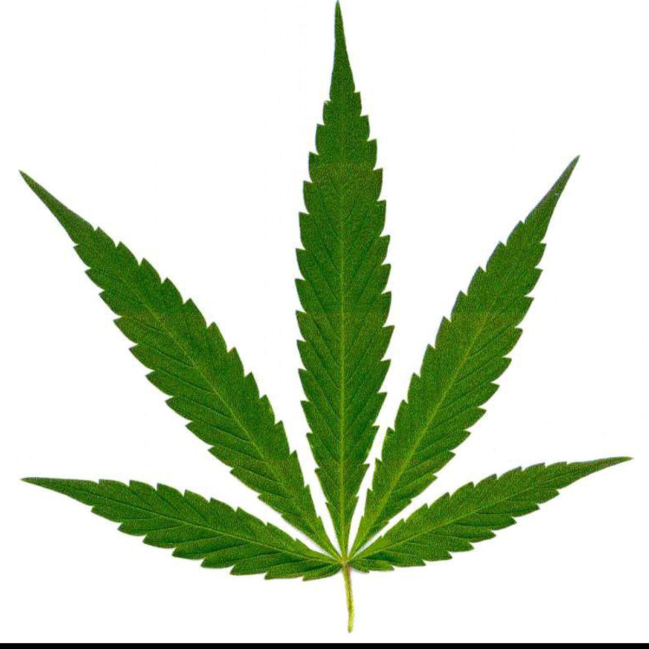Don T Try To Buy Marijuana In Illinois And Bring It Back To