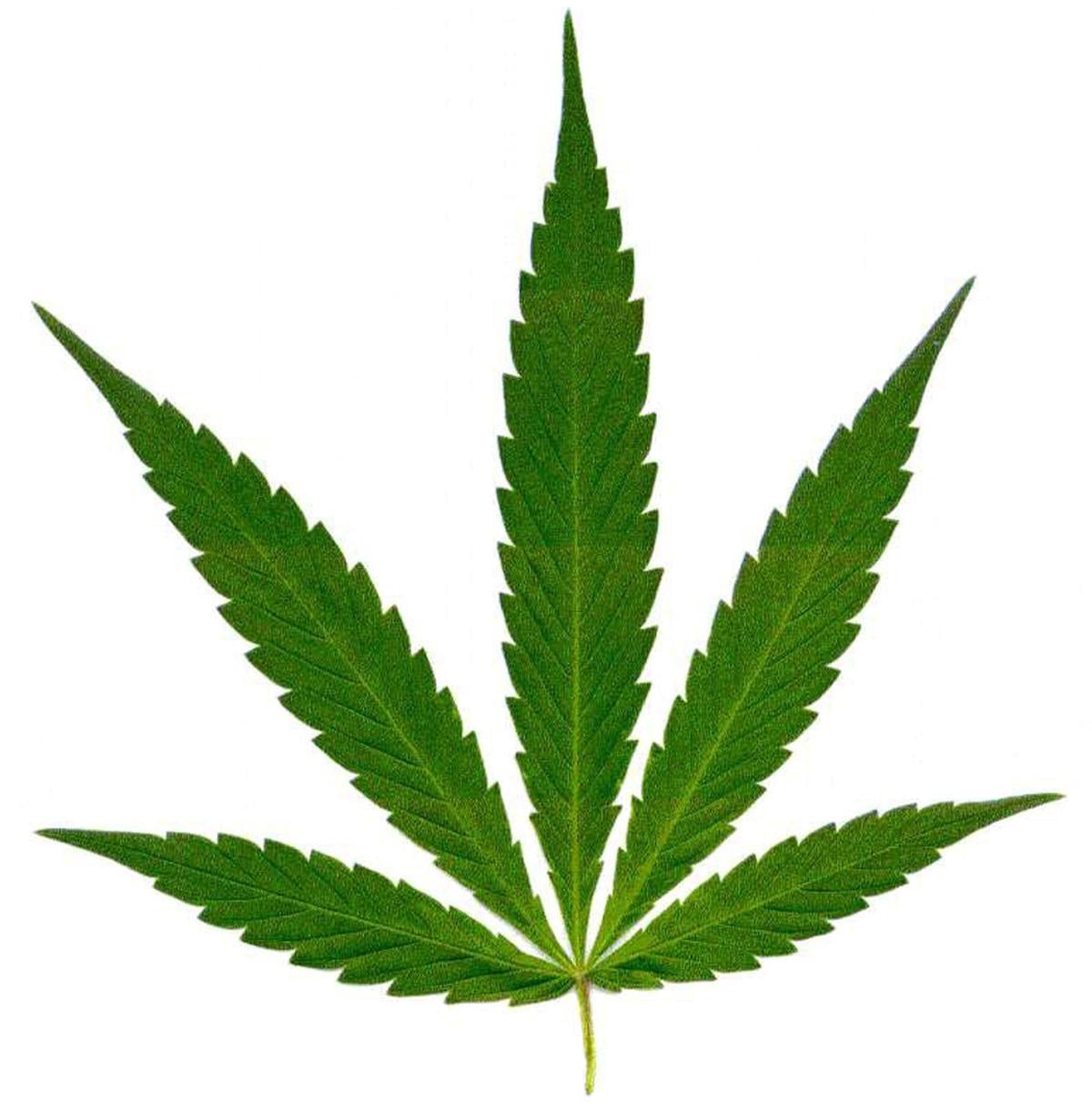 Don T Try To Buy Marijuana In Illinois And Bring It Back To Wisconsin Local News Kenoshanews Com