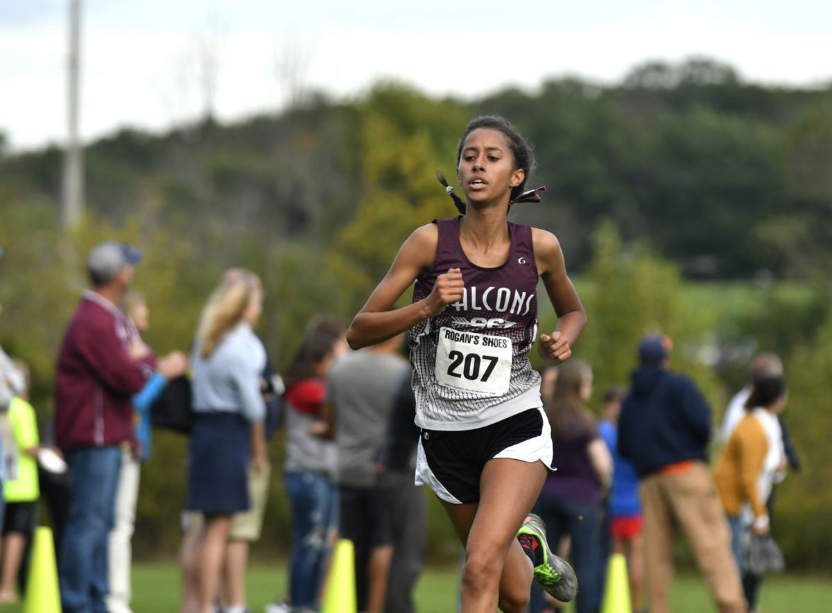 Indian Trail Cross Country Teams Soar To State Local High School Kenoshanews Com