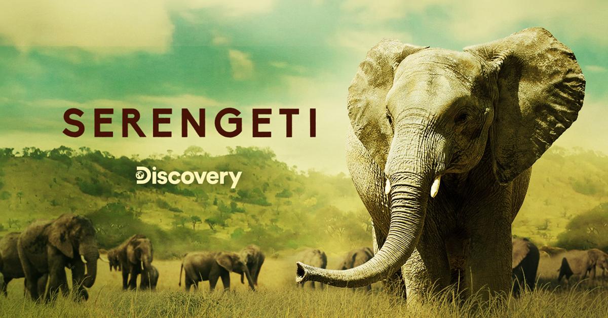 Discovery Serengeti