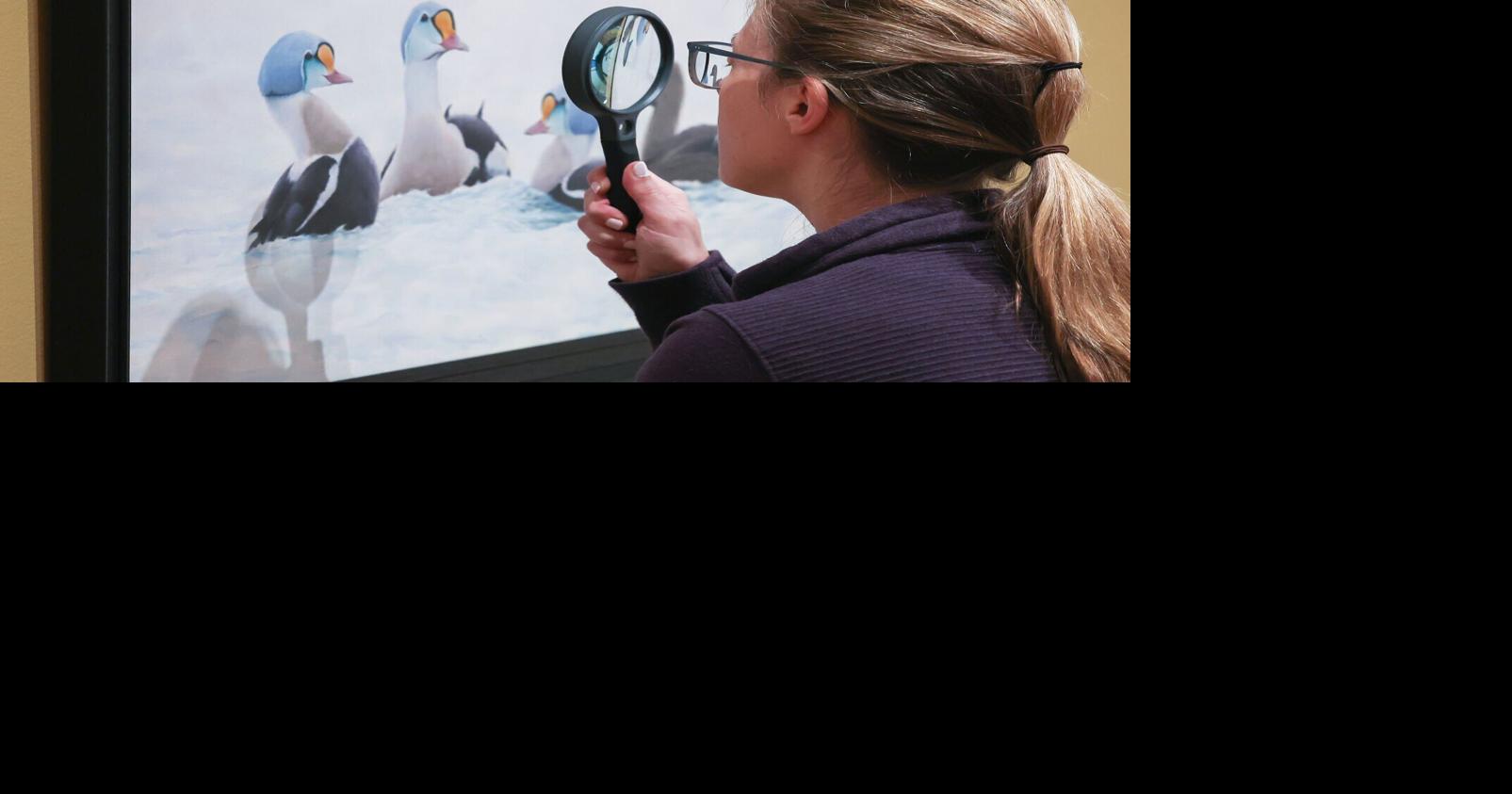 World-class Wausau museum celebrates 50 years of birds and art