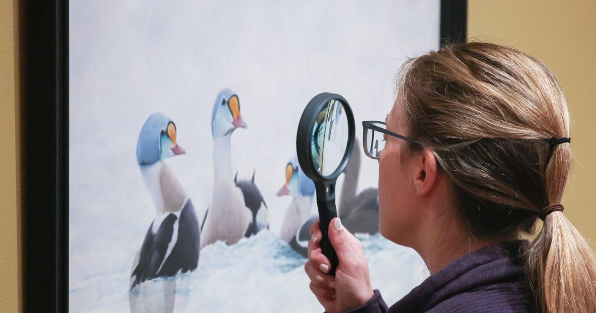 World-class Wausau museum celebrates 50 years of birds and art