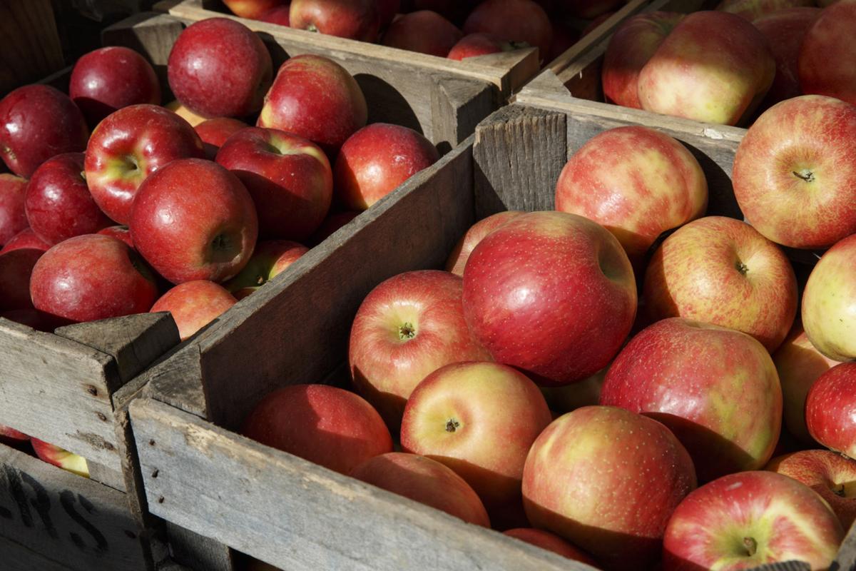 Stay Safe But Stay Busy It S Time For Apple Picking Farmers Markets And Movies Entertainment Kenoshanews Com