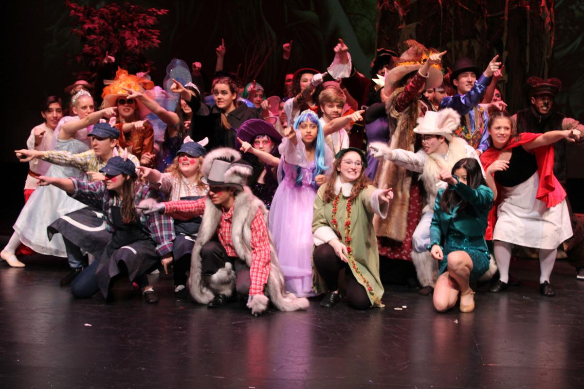Senior Citizens Invited To Shrek Performance Entertainment