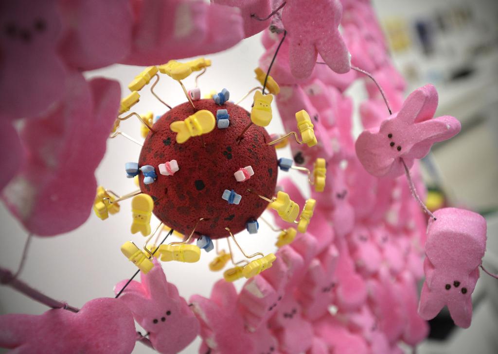 Watch Now Wisconsin S Shining Moment On Jeopardy Arts Theatre Kenoshanews Com