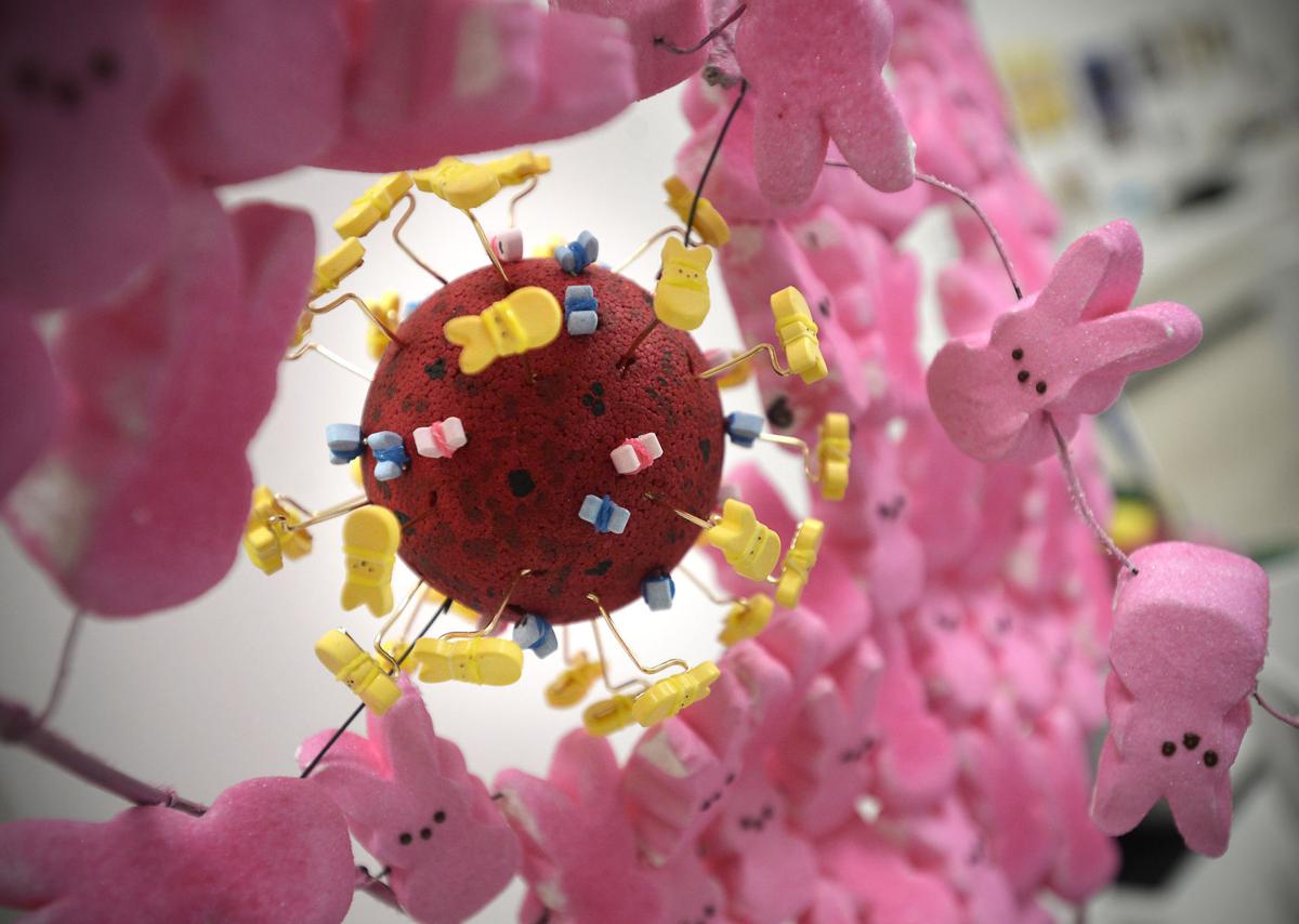 Watch Now Wisconsin S Shining Moment On Jeopardy Arts Theatre Kenoshanews Com