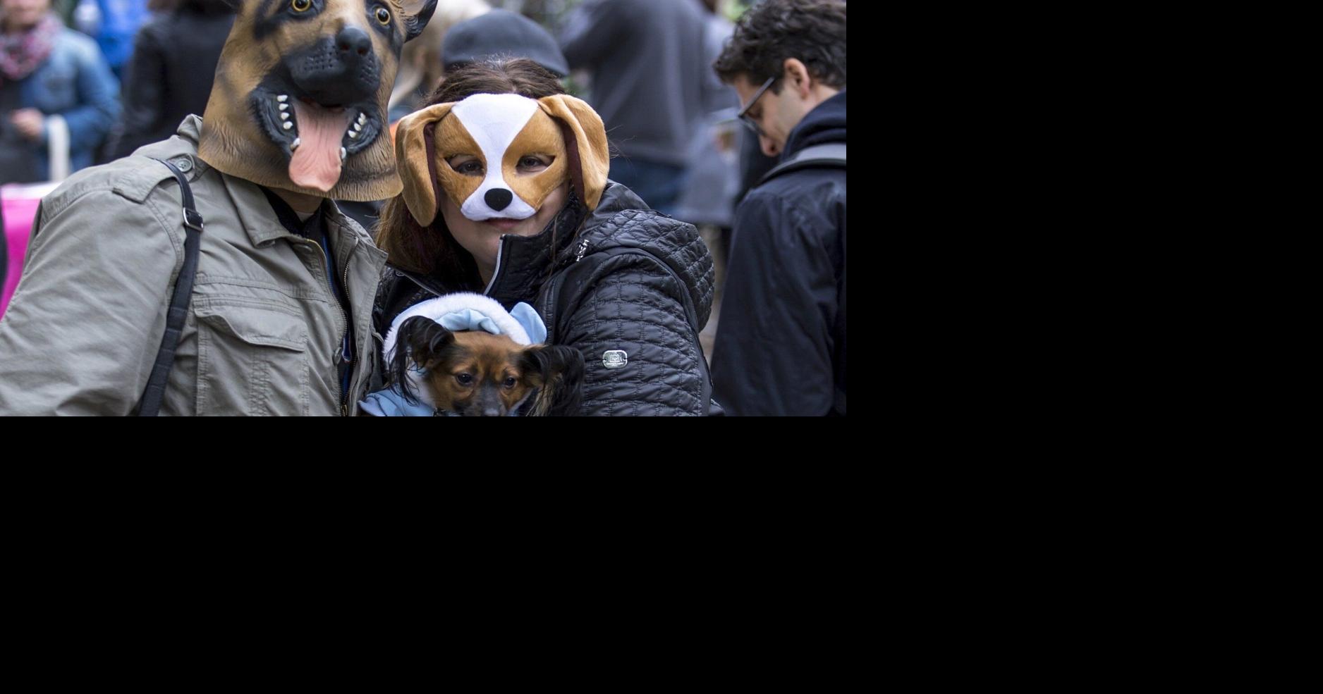 Last minute DIY Halloween costumes for couples