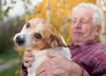 Why mourning a pet can be harder than grieving for a person