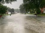 Rainfall Sunday