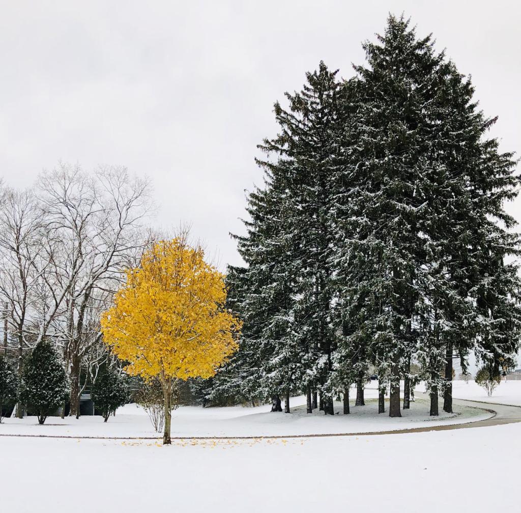 November Memories Your Photos Kenoshanews Com