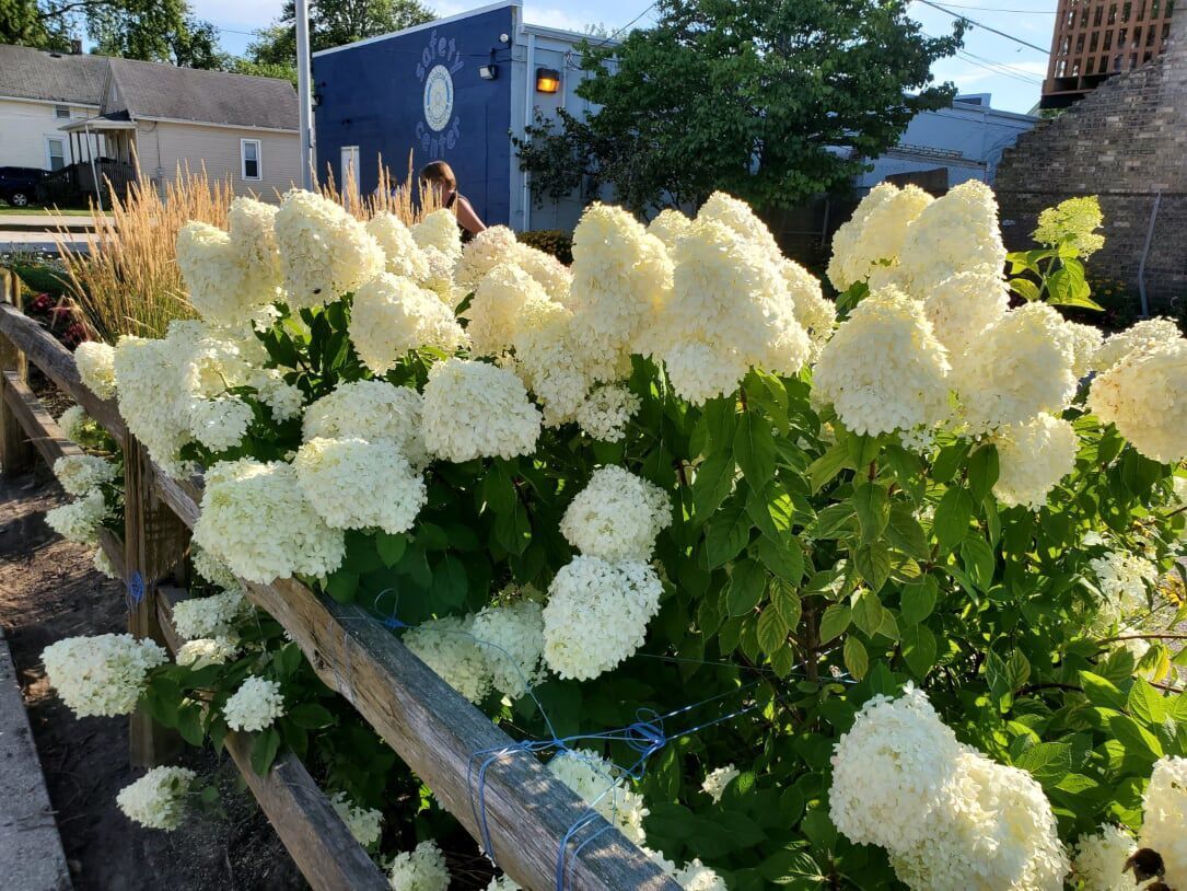 City yard waste/brush drop off site to open April 5 Local News