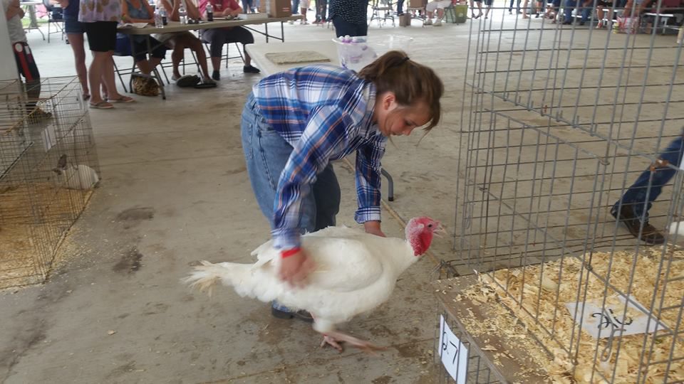 Fowl rules the roost at small animal auction News