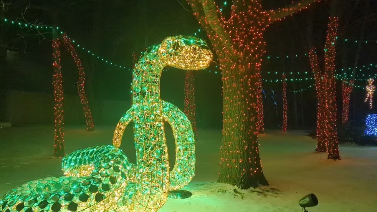 Milwaukee Zoo's Wild Lights