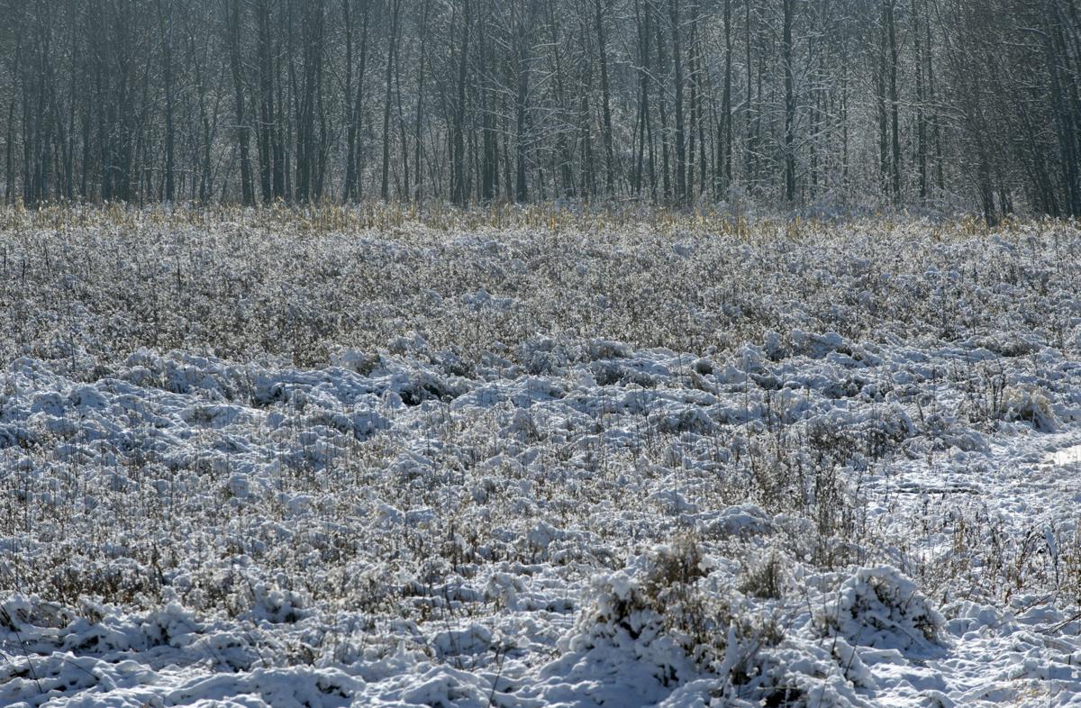 Winter elegance Snow graces Kenosha County Living