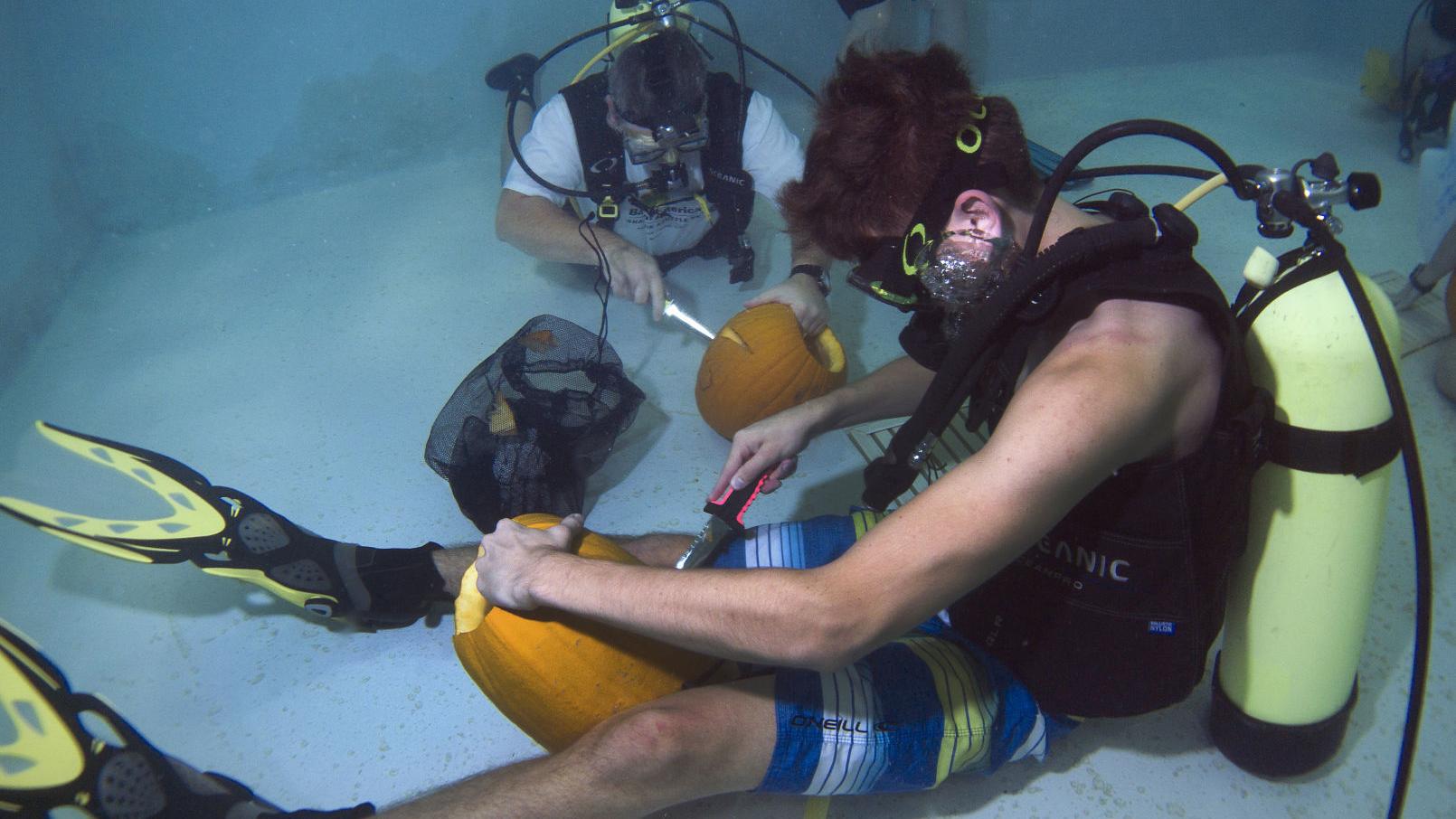 Snyder Bye Bye Bye Entertaining Yourself On A Packer Less Sunday Liz Snyder Kenoshanews Com