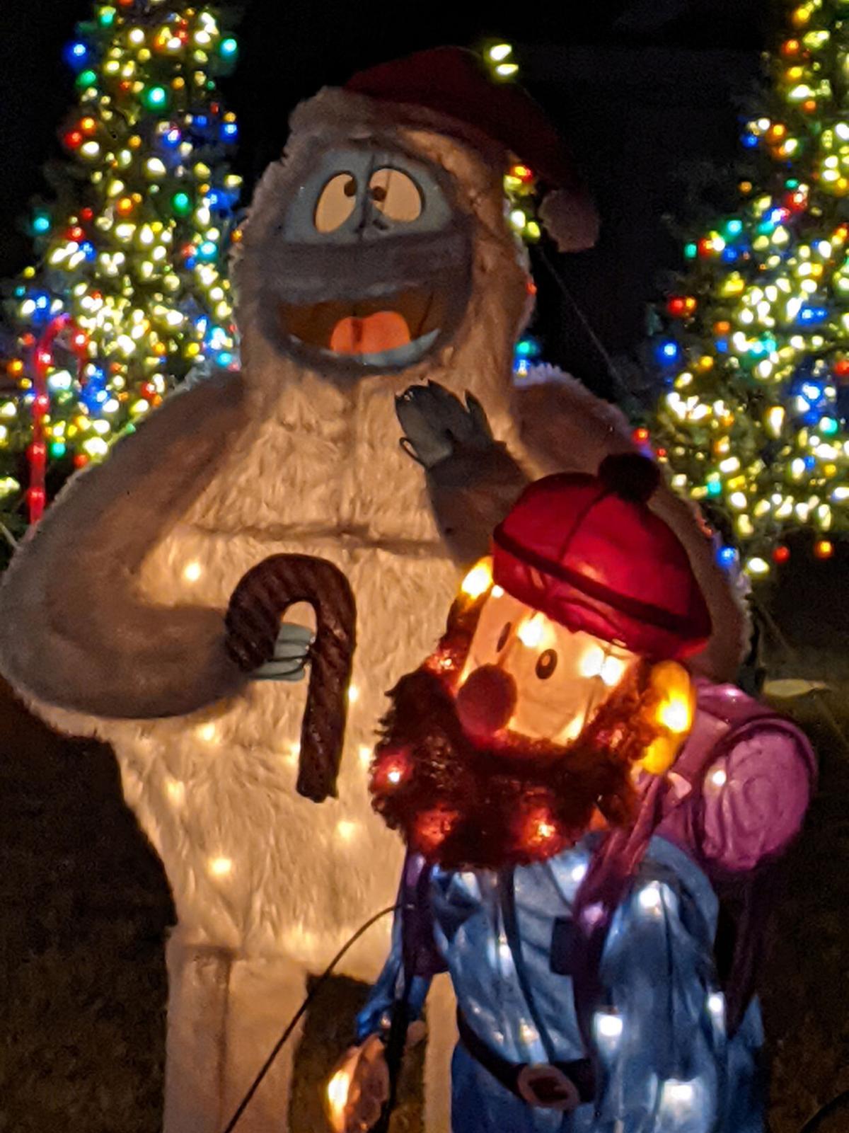 2020 xmas lights Trevor lights Bumble.jpg