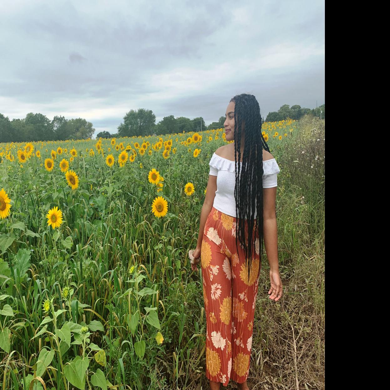 Sunflower Fields Featured Near Trevor Pleasant Prairie Local News Kenoshanews Com