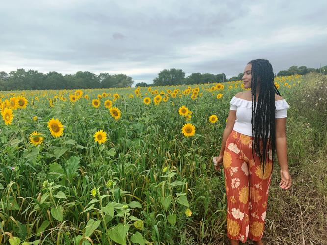 Sunflower fields featured near Trevor, Pleasant Prairie
