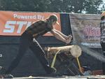 2021 Timberworks Lumberjack Show at Petrifying Springs Park