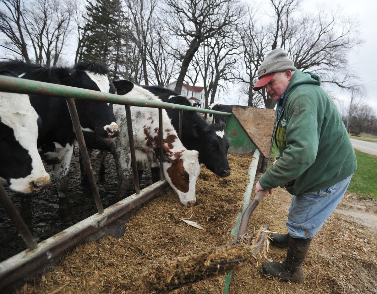 Faced with an oversupply, dairy farmers have to dump milk Local News