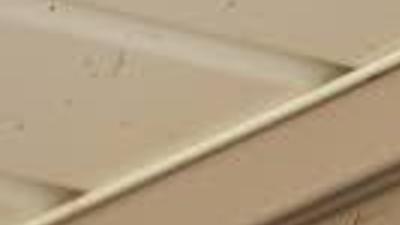 Dive Bombing Robins Keep Mail Carrier Away From Kenosha Home News Kenoshanews Com