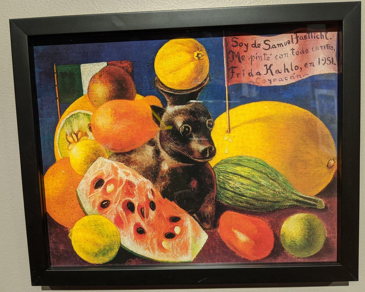 Frida Kahlo Exhibit Open At Public Museum Entertainment
