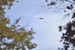 Hubschrauber über Kenosha Freitag
