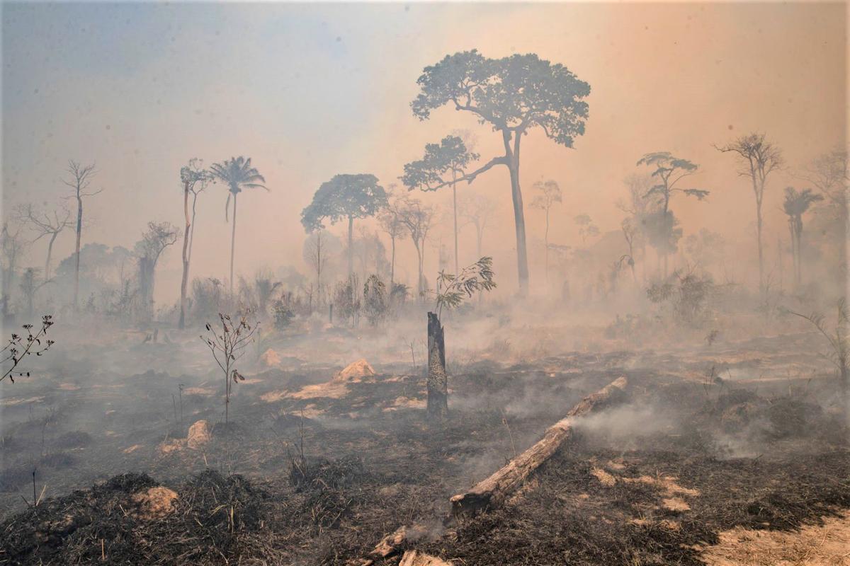 Ambiente amazônico