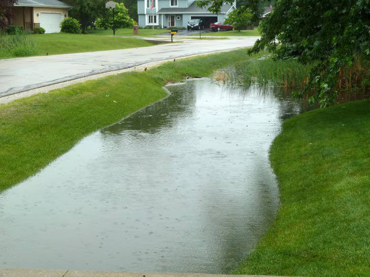 Drainage ditches or wetlands? | News | kenoshanews.com