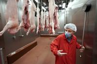 Meat Science and Animal Biologics Discovery