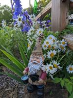 There's No Place Like Gnome