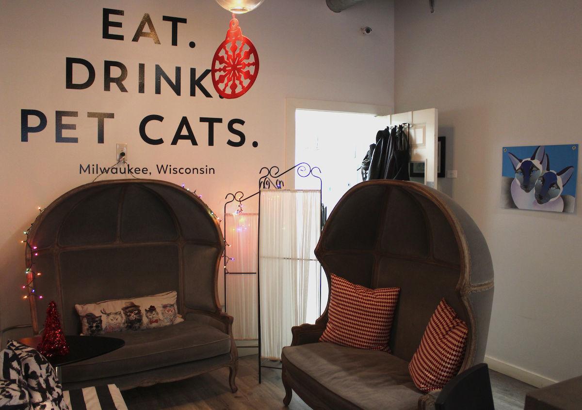 Roads Traveled Milwaukee S Sip And Purr Cafe Shelters Felines