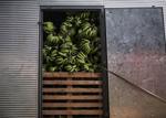 Bananas