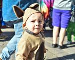 Kangaroo boy