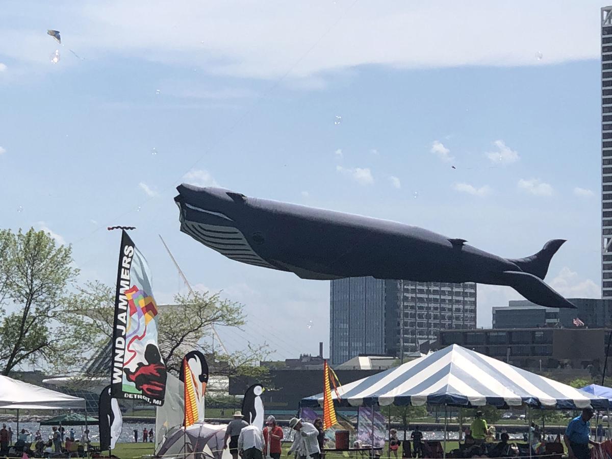 Outta Sight Kite Flight returns to Kenosha Events