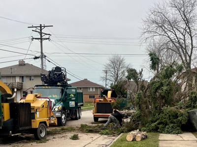 City of Kenosha Announces Curbside Pickup for Storm Brush and Debris